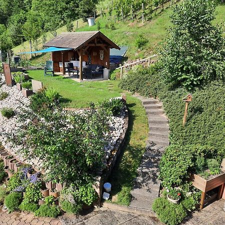 Chambres D'Hotes "Au Val Sejour" Alsace Saint-Martin  Exterior foto