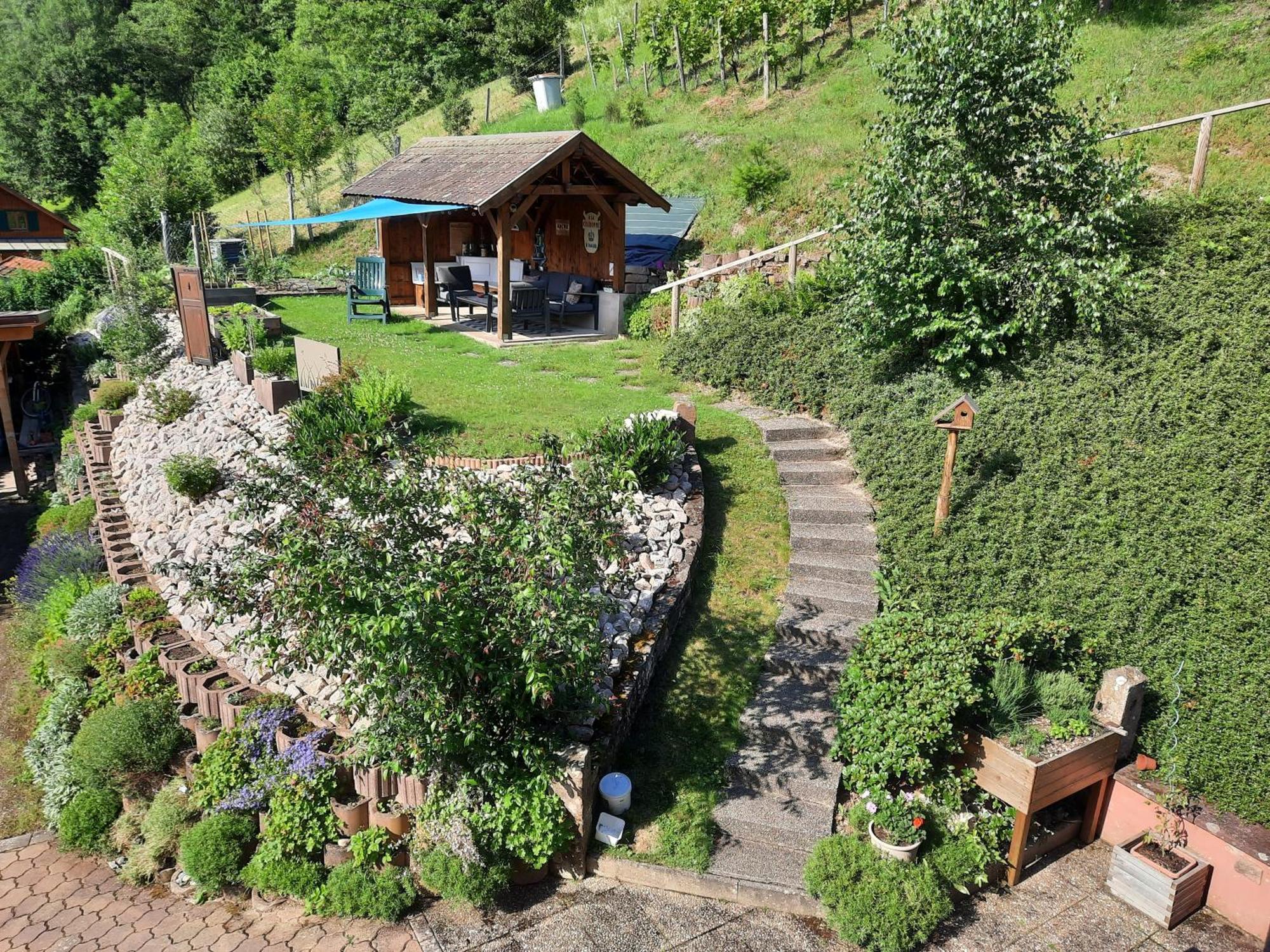 Chambres D'Hotes "Au Val Sejour" Alsace Saint-Martin  Exterior foto