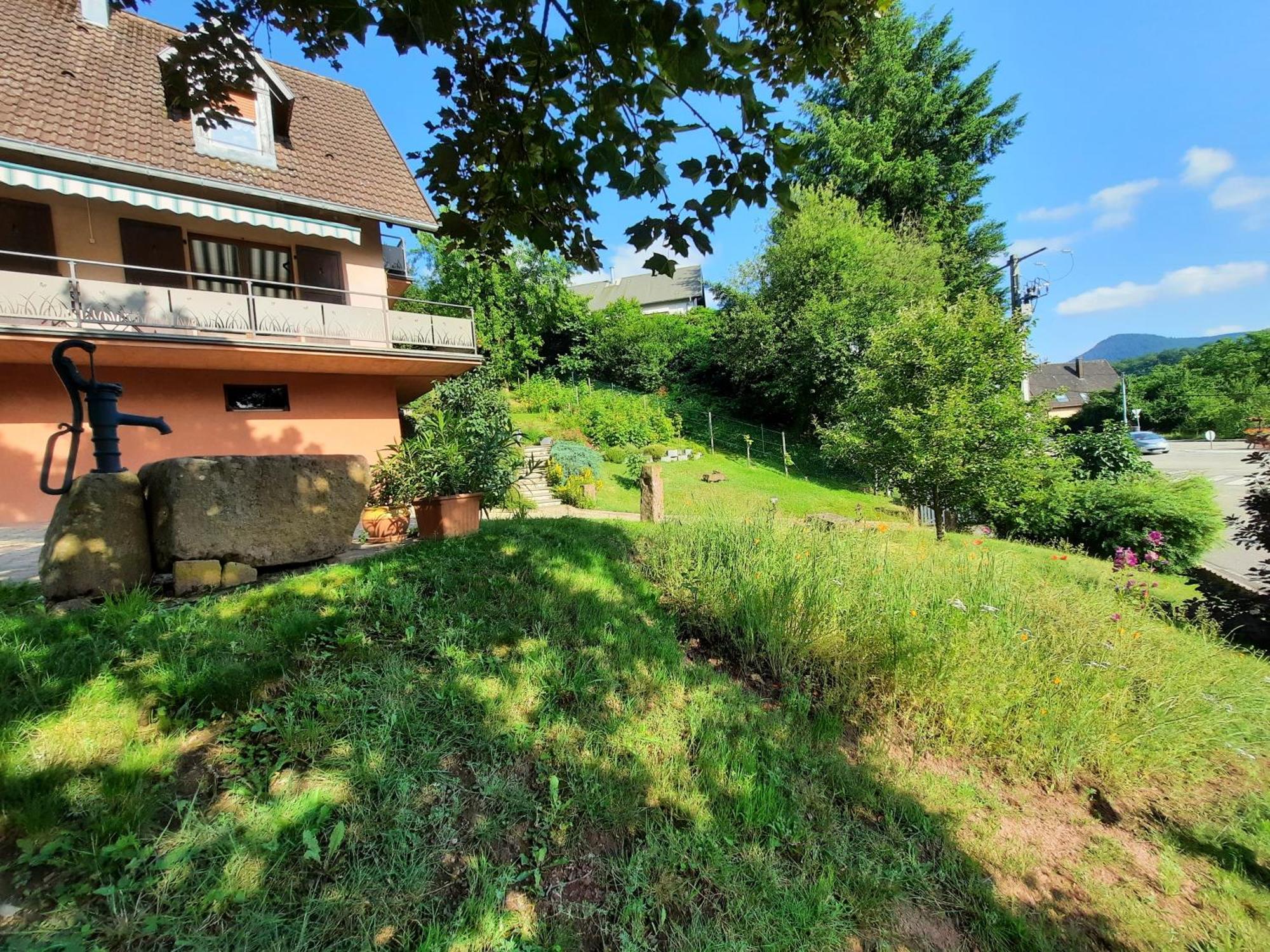 Chambres D'Hotes "Au Val Sejour" Alsace Saint-Martin  Exterior foto