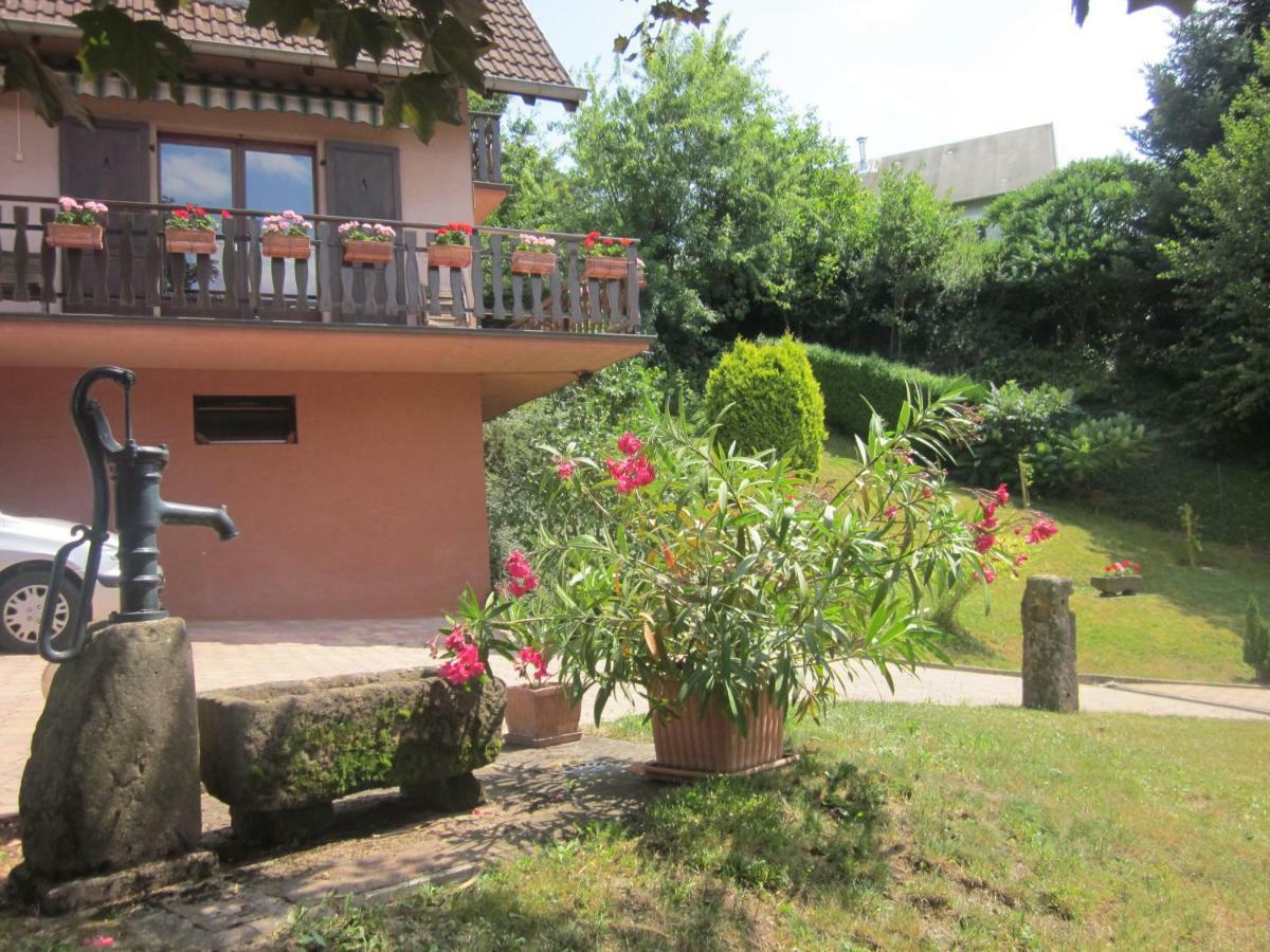 Chambres D'Hotes "Au Val Sejour" Alsace Saint-Martin  Exterior foto