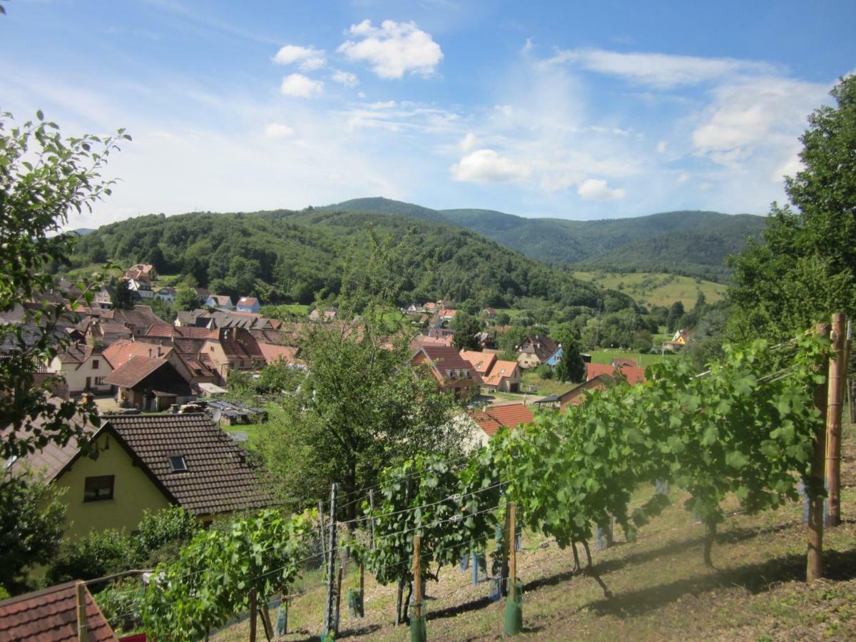Chambres D'Hotes "Au Val Sejour" Alsace Saint-Martin  Exterior foto